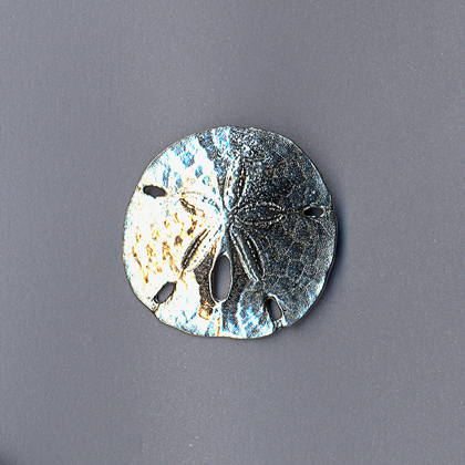 Sand Dollar Pin