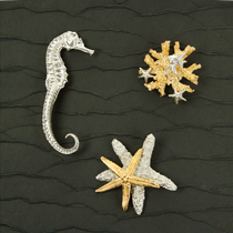 Coastal and Sealife
