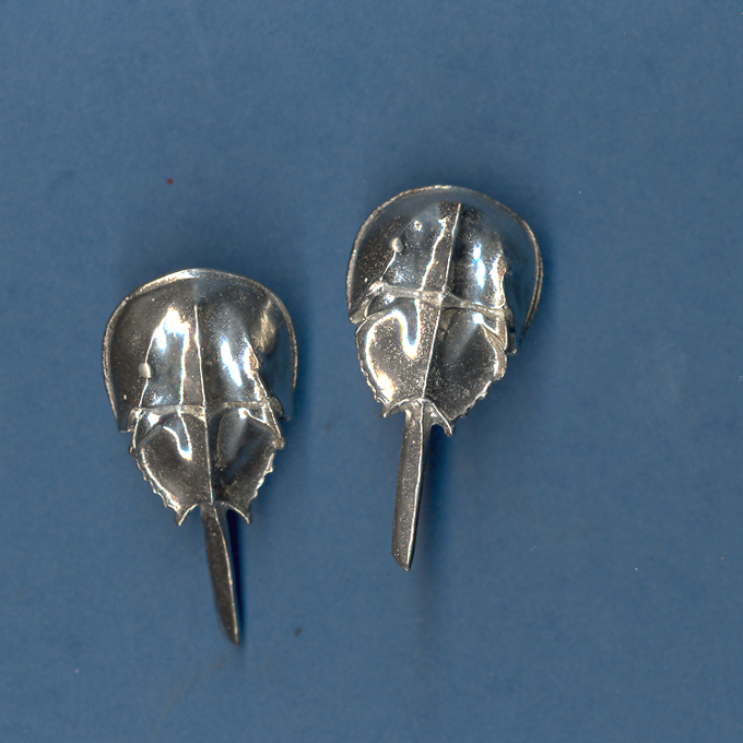 Horseshoe Crab Earrings, Post