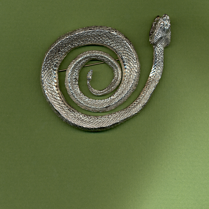 Snake Coiled Pin