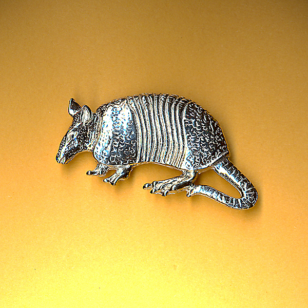 Armadillo Pin
