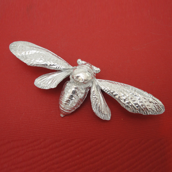 Cicada Pin