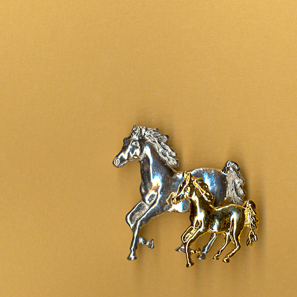 Horse Duo Pin