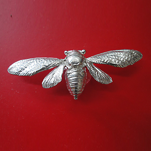 Bee Window