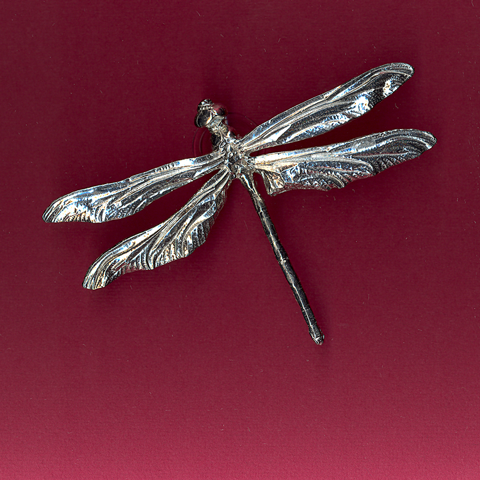 Dragonfly Window