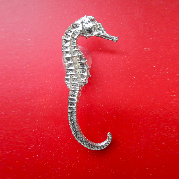 Seahorse Window